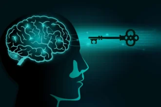 Assimilasjon: Meaning Process and Impact in Society