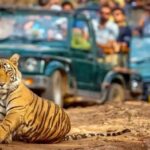 Golden Triangle Tour with Ranthambore A Photographer’s Dream Journey