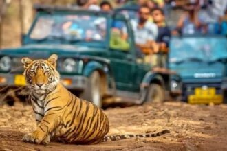 Golden Triangle Tour with Ranthambore A Photographer’s Dream Journey