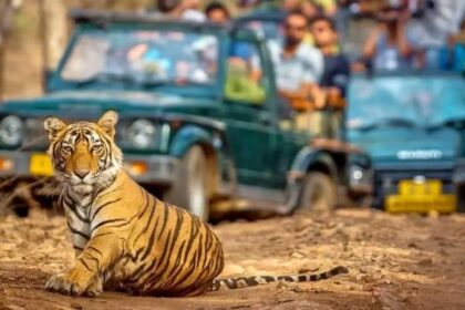 Golden Triangle Tour with Ranthambore A Photographer’s Dream Journey