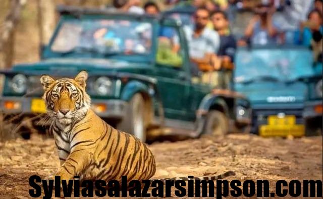 Golden Triangle Tour with Ranthambore A Photographer’s Dream Journey